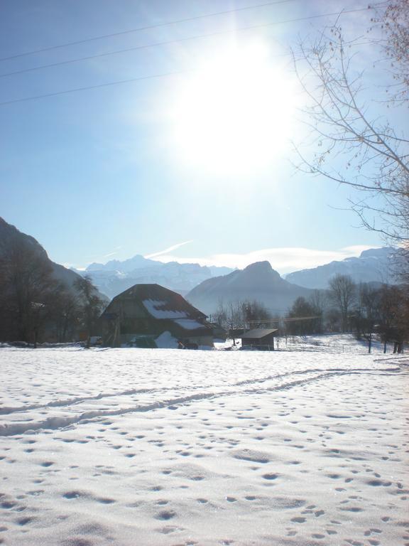 Les Paddocks Du Mont Blanc Mieussy Ngoại thất bức ảnh